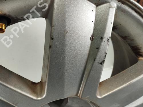 Fælk RENAULT MEGANE II Saloon (LM0/1_) 1.9 dCi (LM0G, LM1G, LM2C) | BP31871194C45 