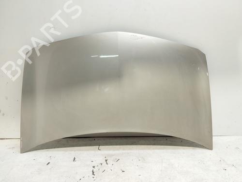 Used Hood RENAULT MEGANE II Saloon (LM0/1_) 1.9 dCi (LM0G, LM1G, LM2C) (120 hp) 25022089
