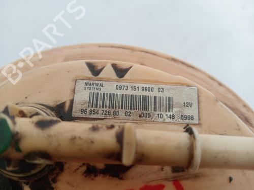 Fuel pump CITROËN C3 II (SC_) | BP30410062M76