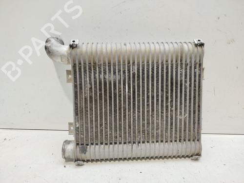 Intercooler HYUNDAI SANTA FÉ I (SM) | BP33012278M30 - Image 3