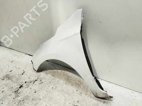 Left front fenders HYUNDAI i20 I (PB, PBT)  | BP21531224C41 