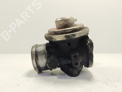 Egr SEAT IBIZA III (6L1)  | BP23983003M69 