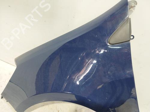 Left front fenders RENAULT CLIO III (BR0/1, CR0/1)  | BP28596093C41