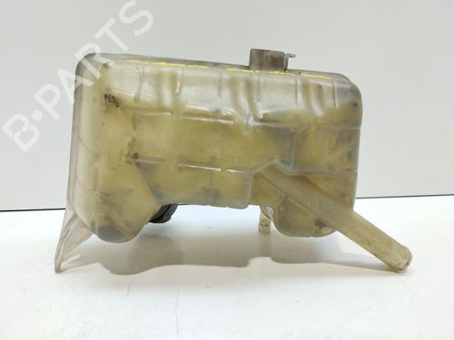 Expansion tank RENAULT GRAND SCÉNIC II (JM0/1_) 1.9 dCi (JM15) | BP17800760C120 