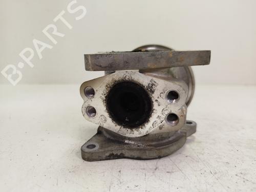 Egr SEAT IBIZA III (6L1)  | BP28129868M69 