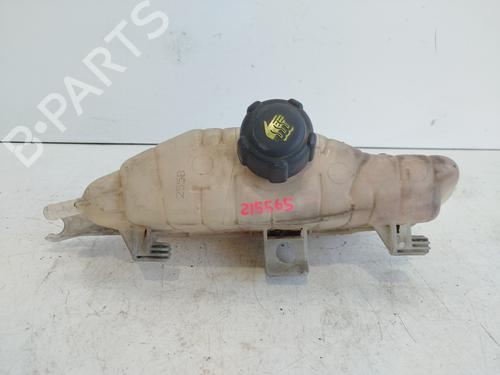 Used Expansion tank RENAULT CLIO III (BR0/1, CR0/1) [2005-2014]  28180273