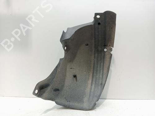 Wheel arch RENAULT CLIO III (BR0/1, CR0/1)  | BP29911317C56 