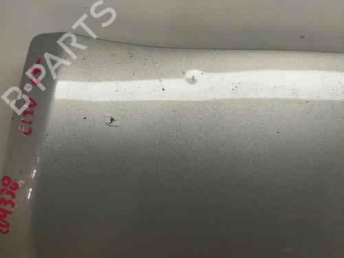 Hood RENAULT CLIO II (BB_, CB_) 1.4 16V (B/CB0L) | BP30050049C1 