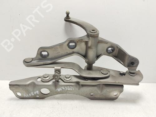 Used Hinge/Door check strap MERCEDES-BENZ S-CLASS (W221, V221) S 350 (221.056, 221.156) (272 hp) 25846603