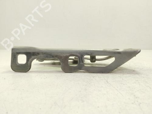 Hinge/Door check strap OPEL CORSA D (S07)  | BP29020930C146 