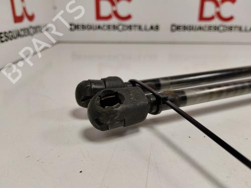 Tailgate lift support SEAT ALHAMBRA (7V8, 7V9) 1.9 TDI | BP25453908C138 