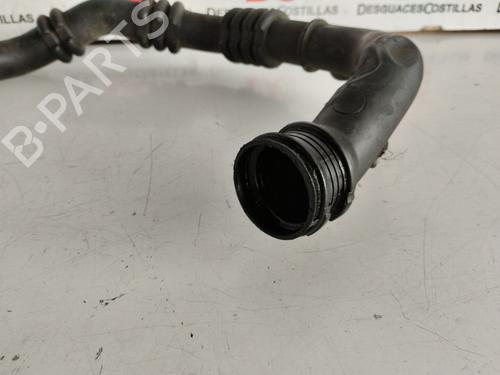 Intercooler pipe RENAULT CLIO II (BB_, CB_) 1.5 dCi (B/C2J) | BP30150569M127
