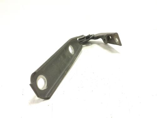 Hinge/Door check strap AUDI A4 B5 (8D2) 1.9 TDI | BP17554787C146 