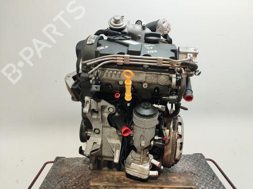 Used Engine SEAT IBIZA III (6L1) [2002-2009]  29351662