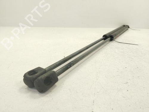 Tailgate lift support CITROËN XSARA Coupe (N0) 2.0 HDI 90 | BP28088411C138 
