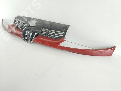 Grill PEUGEOT 206 Hatchback (2A/C) 1.4 LPG | BP20133216C40 