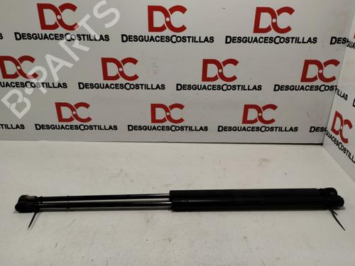 Tailgate lift support SEAT IBIZA III (6L1)  | BP17418554C138 