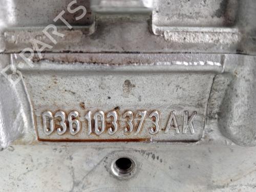 Cylinder head SEAT IBIZA III (6L1) | BP30891023M5