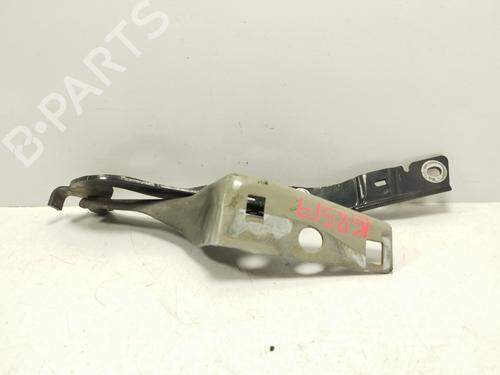 Hinge/Door check strap PEUGEOT 308 I (4A_, 4C_)  | BP25033651C146 
