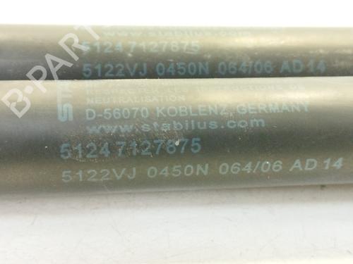 Tailgate lift support MG MG ZR 105 | BP21837791C138 