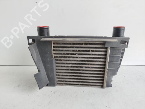 Intercooler RENAULT CLIO III (BR0/1, CR0/1)  | BP28715010M30 