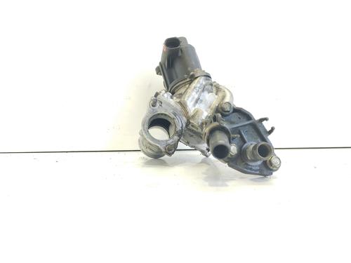 Egr RENAULT KANGOO / GRAND KANGOO II (KW0/1_)  | BP25832955M69 