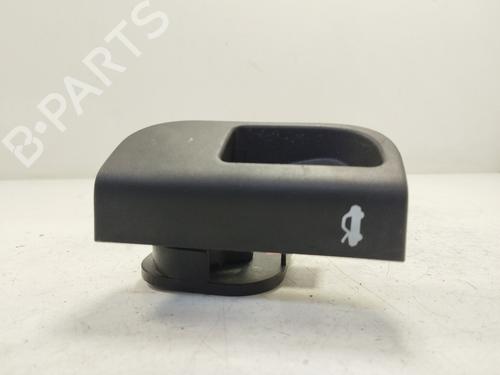 Tailgate handle PEUGEOT BIPPER (AA_)  | BP21531198C132 
