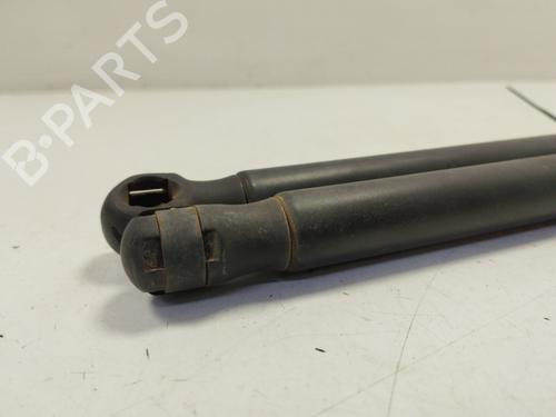 Tailgate lift support SEAT IBIZA III (6L1) | BP30193281C138