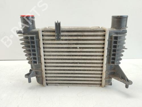 Intercooler RENAULT CLIO III (BR0/1, CR0/1) 1.2 16V (BR0P, CR0P) | BP28715009M30