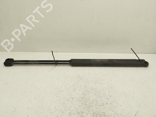 hood-lift-support-fiat-stilo-192_-2001-2002-2003-2004-2005-2006-2007-2008-2009-2010-30974719 main image