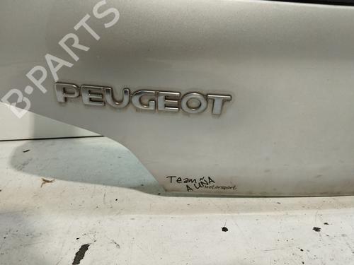 Tailgate PEUGEOT 106 II (1A_, 1C_) 1.5 D | BP25461322C6 
