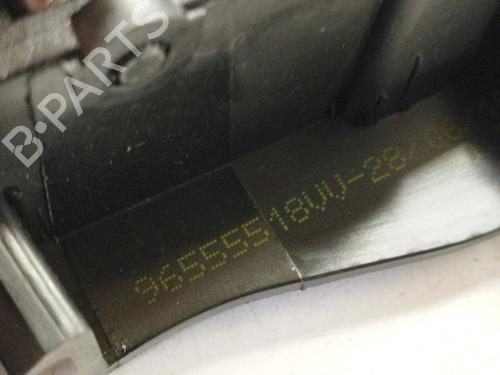 Front left interior door handle PEUGEOT 208 I (CA_, CC_) 1.6 HDi | BP26920124I13 