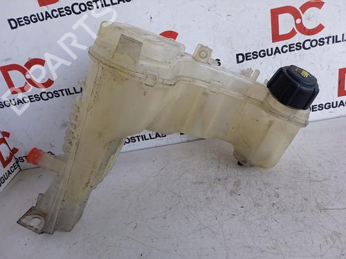 Used Expansion tank RENAULT LAGUNA III (BT0/1) 2.0 dCi (BT07, BT0J, BT14, BT1A, BT1S) (131 hp) 27190021