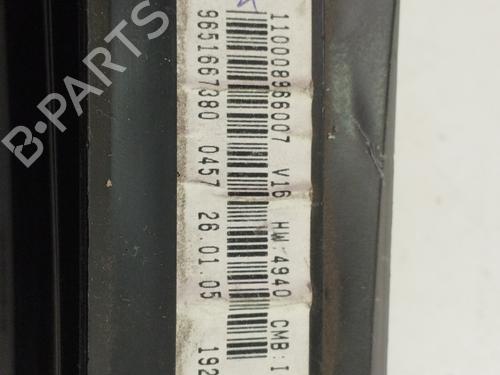 Display CITROËN XSARA PICASSO (N68) 2.0 HDi | BP30674701C48