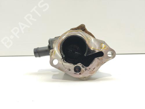 Vacuum pump RENAULT KANGOO (KC0/1_) 1.5 dCi | BP17426797M80 