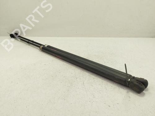 Tailgate lift support OPEL CORSA D (S07)  | BP29020932C138 