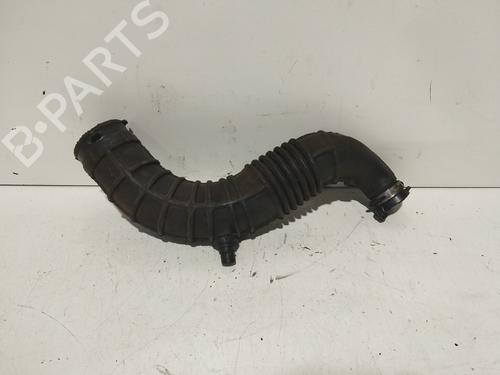 Rohr für RENAULT MEGANE II (BM0/1_, CM0/1_) [2001-2012]  28167298