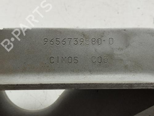 Hinge/Door check strap PEUGEOT 308 I (4A_, 4C_)  | BP25136338C146 