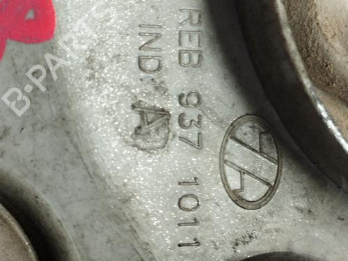 Hub cap RENAULT SCÉNIC II (JM0/1_)  | BP25816556C160 