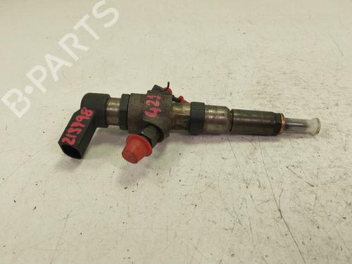 Injector CITROËN C3 I (FC_, FN_) 1.4 HDi | BP30000303M100 