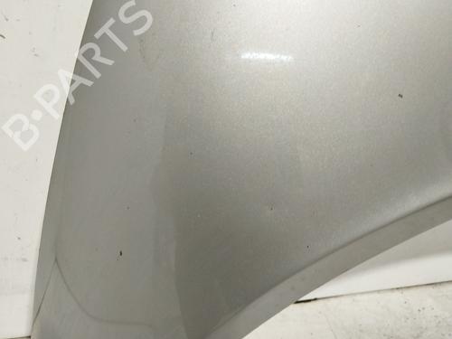 Hood RENAULT GRAND SCÉNIC II (JM0/1_) 2.0 dCi (JM1K) | BP20342250C1 