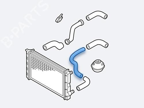 Pipe SEAT LEON (1P1)  | BP31798994M125  - Image 6