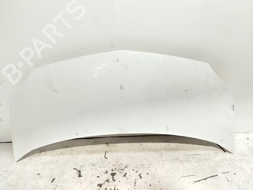 Hood RENAULT KANGOO / GRAND KANGOO II (KW0/1_)  | BP21679613C1 