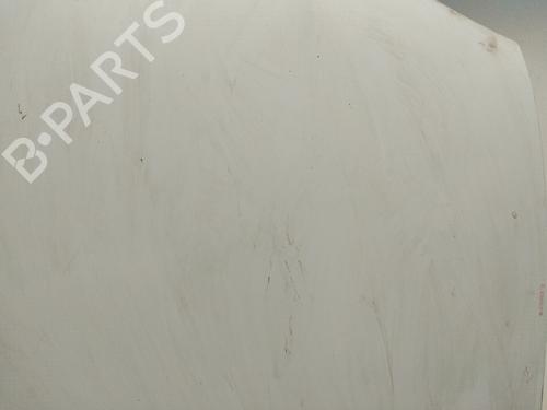 Hood RENAULT KANGOO (KC0/1_) D 65 1.9 (KC0E, KC02, KC0J, KC0N) | BP25250309C1 
