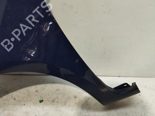 Left front fenders RENAULT CLIO III (BR0/1, CR0/1)  | BP28596093C41