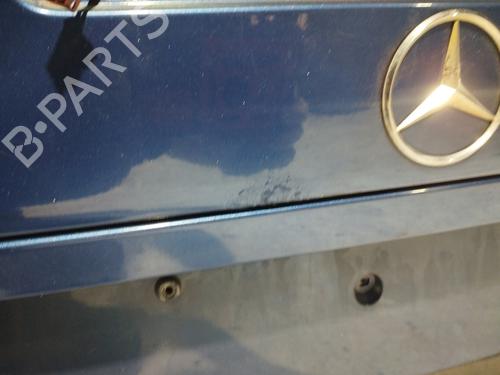 Tailgate MERCEDES-BENZ C-CLASS (W203) C 220 CDI (203.006, 203.008) | BP20342251C6 