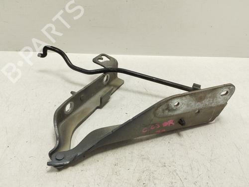 Hinge/Door check strap CITROËN C3 I (FC_, FN_)  | BP29062546C146 