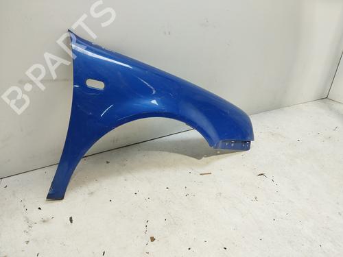 Right front fenders VW GOLF IV (1J1) 1.9 TDI | BP19142192C42 