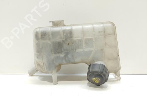 Used Expansion tank RENAULT GRAND SCÉNIC II (JM0/1_) 1.9 dCi (JM15) (110 hp) 17800759