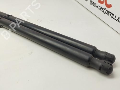 Tailgate lift support SEAT TOLEDO III (5P2)  | BP17420979C138 